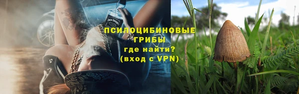 мдпв Козловка