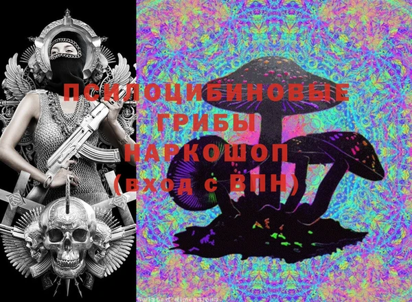 мдпв Козловка